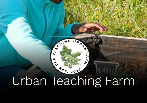 photo of a boy in the garden