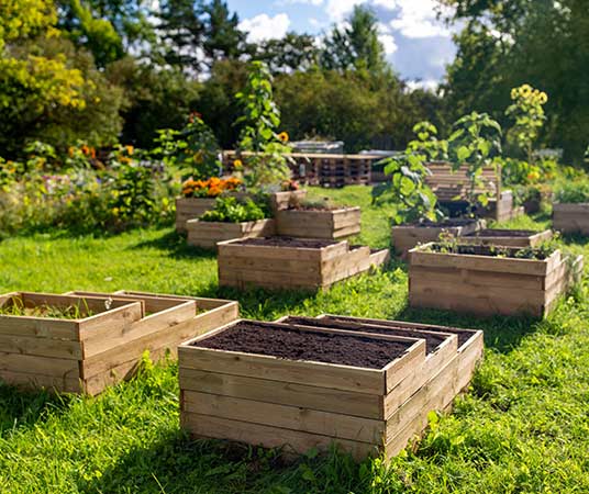 a display banner with vegatables