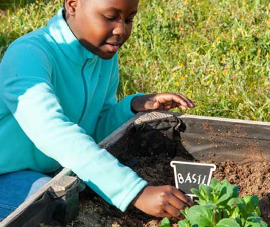 young man in a basil garden